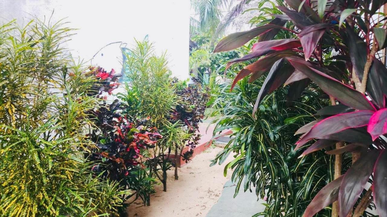 Sunrise Guest House & Restaurant Tangalle Esterno foto